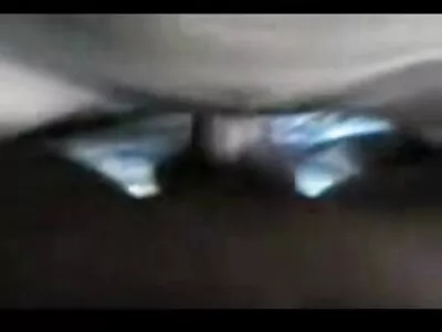 سیکسی بلی کا بچہ مرغ کے ساتھ کھیل رہا ہے۔