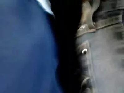 کمپن ایک بلی میں جام ہے۔